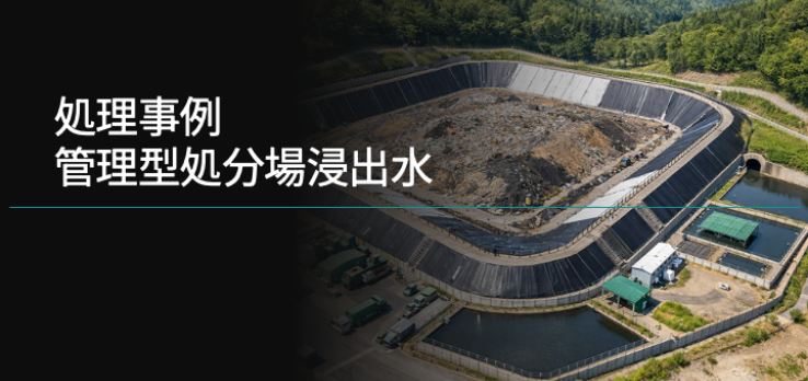 Eleca装置